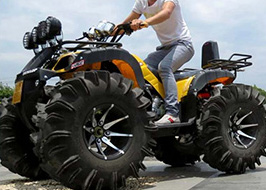 Custom Dune Buggy Wheel